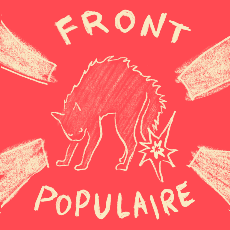 Chat enragé
