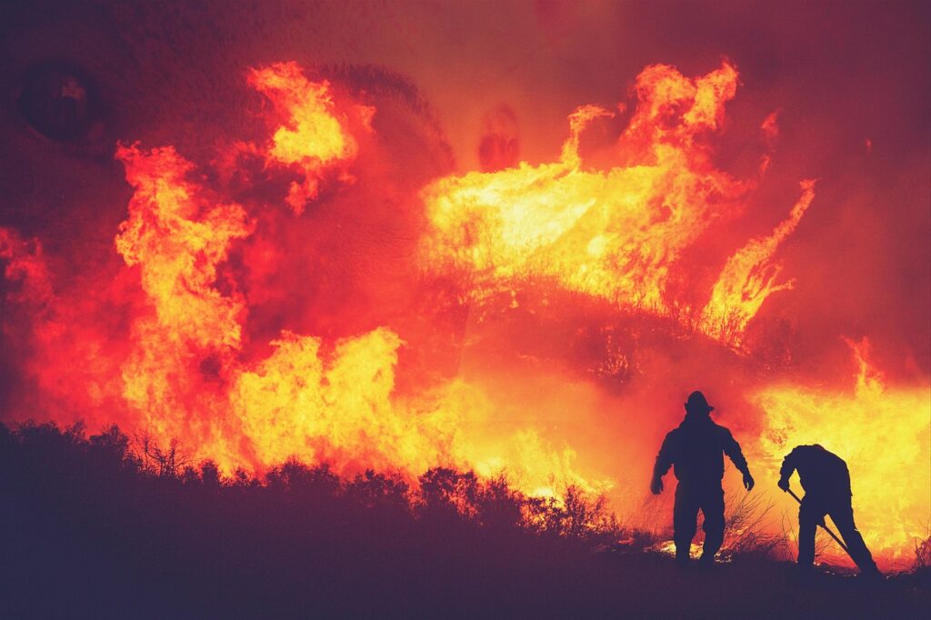fire, flames, trees, forest, destruction, people, firefighters, rescue, nature, fire, destruction, destruction, firefighters, firefighters, firefighters, firefighters, firefighters, rescue, rescue, rescue