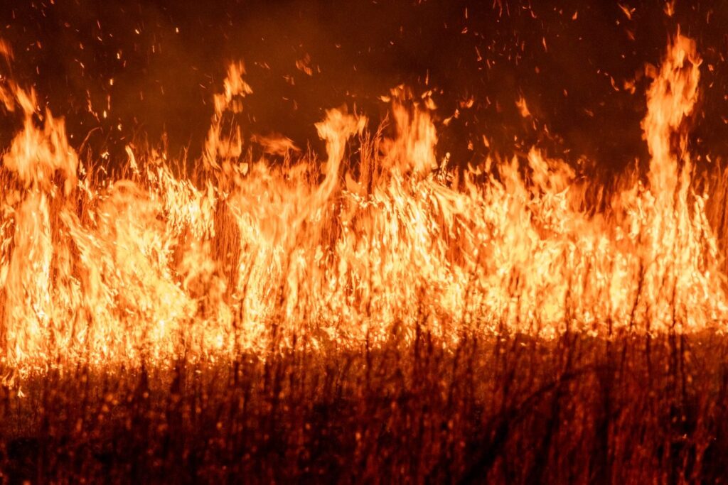Dynamic image of intense flames during a nighttime field fire, showcasing vibrant heat and energy.