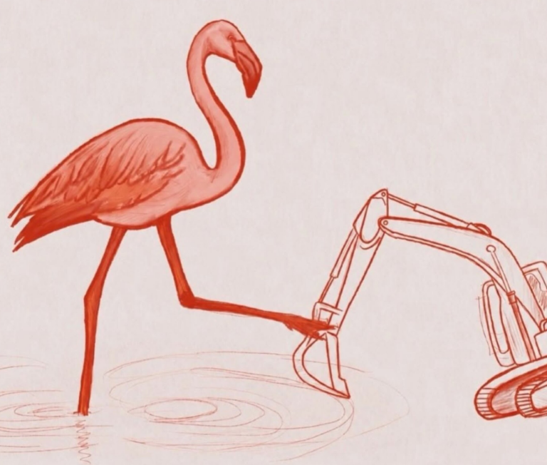2-2-Note-dactu-La_revolution_des_flamants_roses