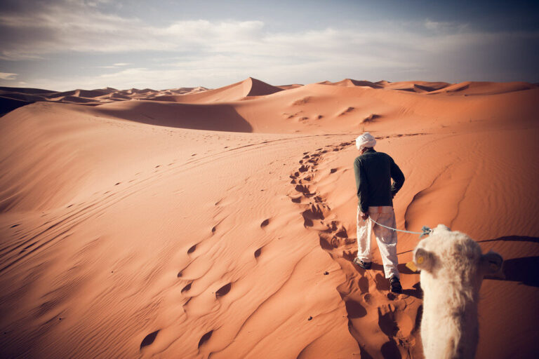 'Sahara Guide', Morocco, Merzouga, Erg Chebbi, Sahara Desert